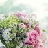 Hochzeitsblumen - Floristensuche